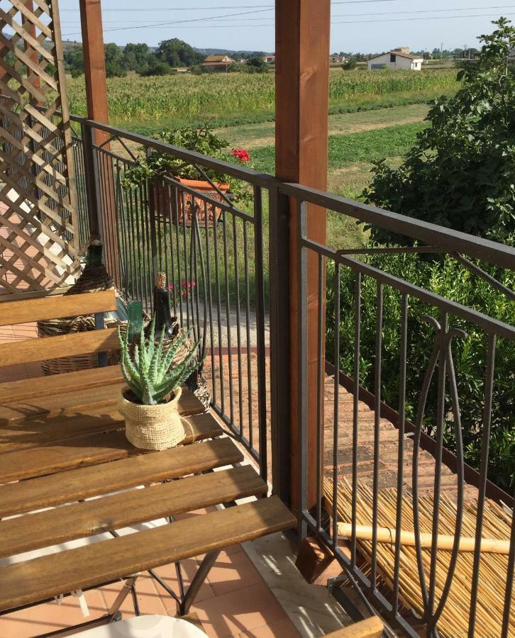 B&B La Nonnina Del Cilento Casal Velino Zewnętrze zdjęcie