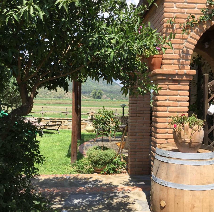 B&B La Nonnina Del Cilento Casal Velino Zewnętrze zdjęcie